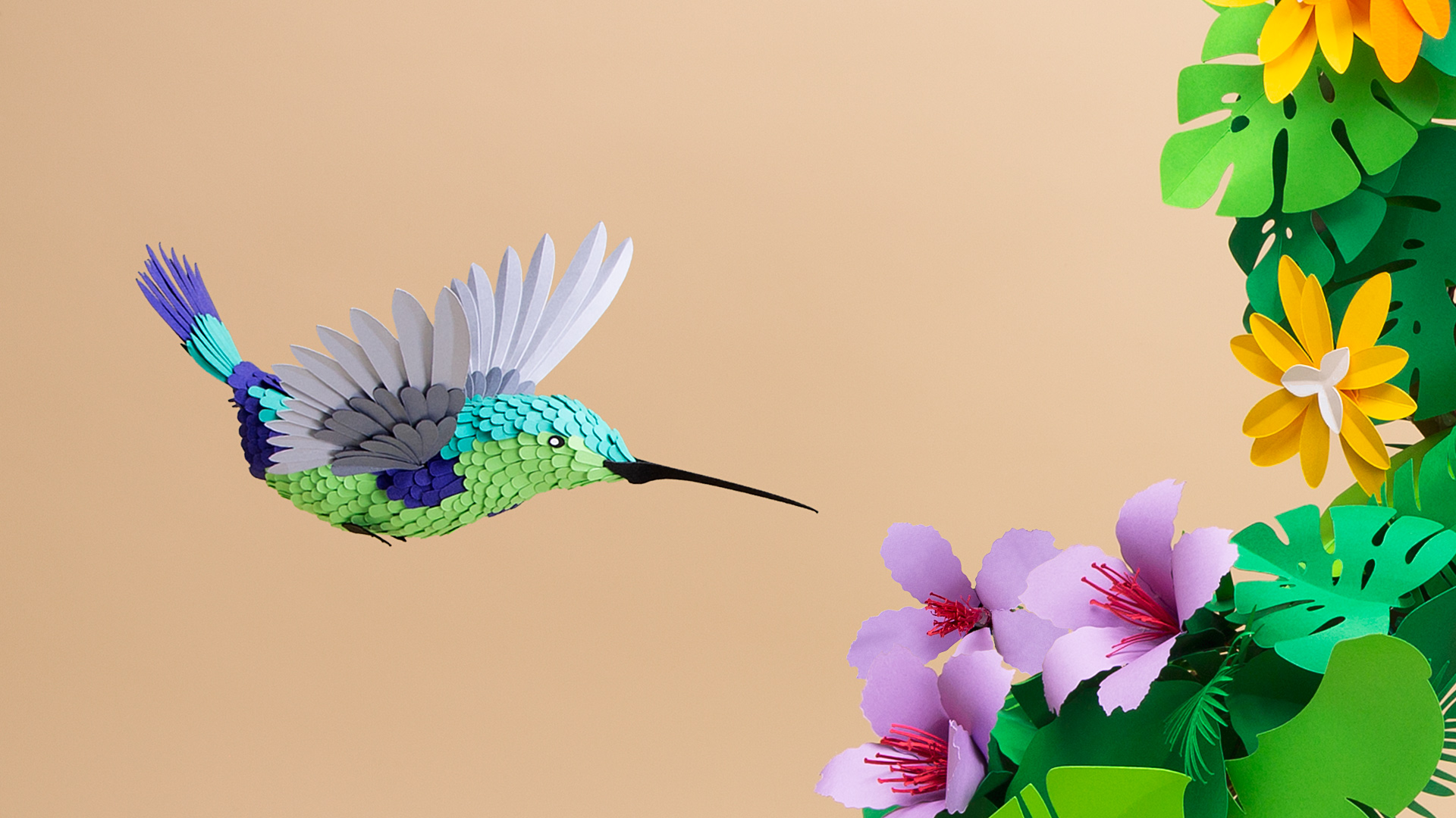 1_AMPERSANDPAJARO_DETAIL_1_WEB
